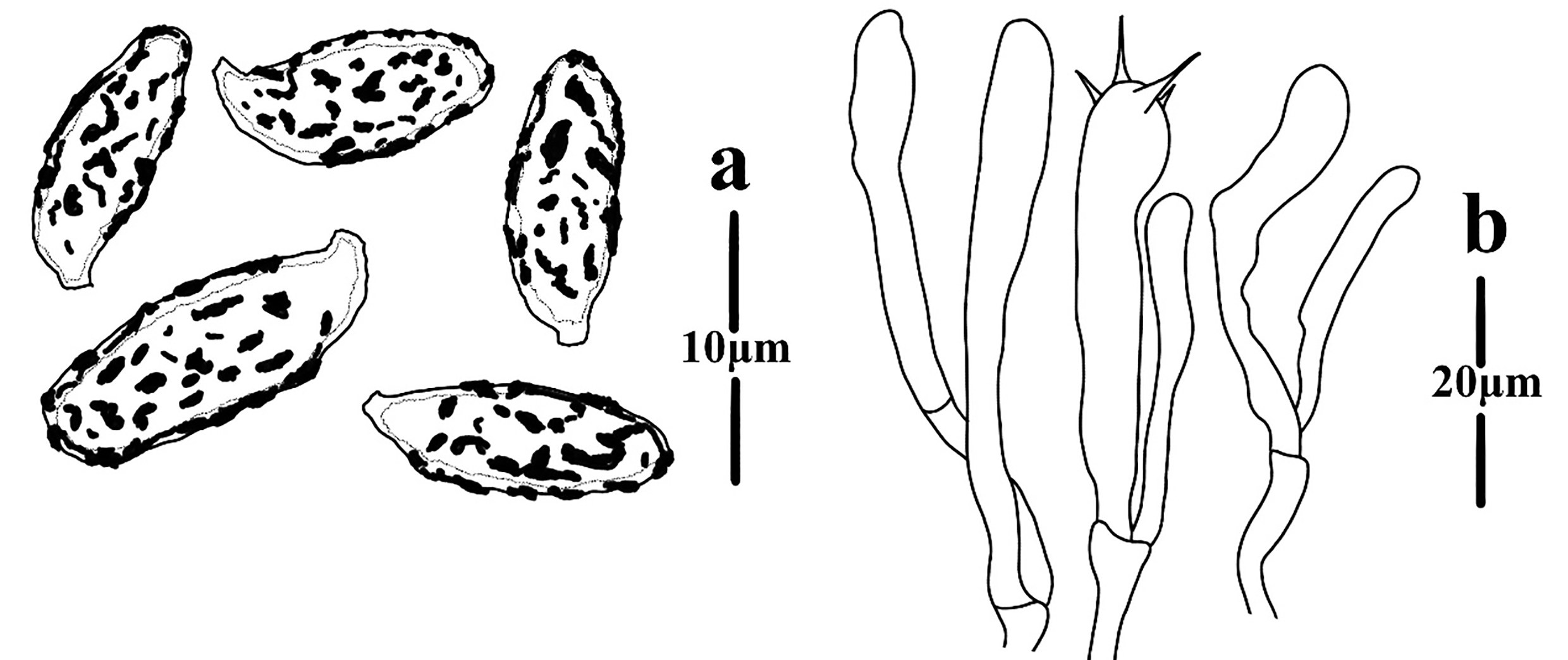 Figure 94